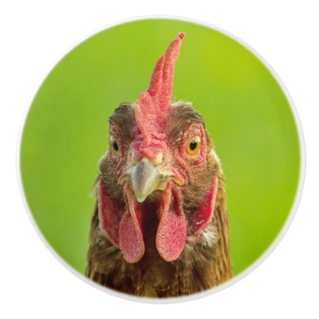 Roligt fegt porträtt på en grön bakgrund knopp (Framsidan)