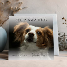Roligt Feliz Navidog | Fotojul