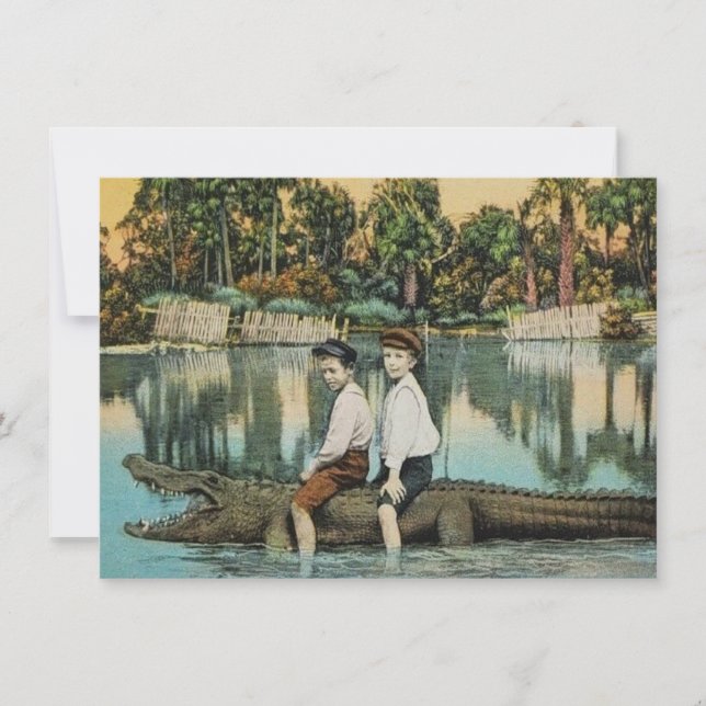 Roligt Florida Alligator Flytta Announcement (Framsida)