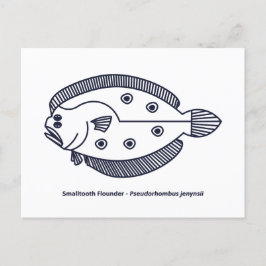 Roligt Flounder Fish in Deepest Blue and White Vykort