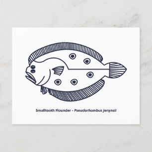 Roligt Flounder Fish in Deepest Blue and White Vykort