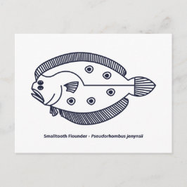 Roligt Flounder Fish in Deepest Blue and White Vykort