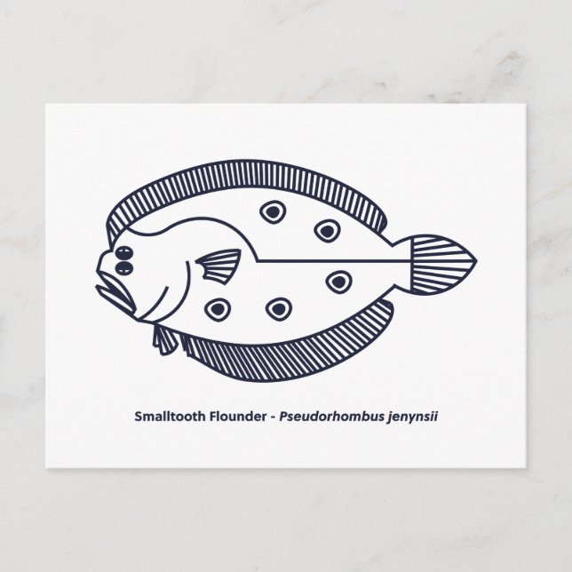 Roligt Flounder Fish in Deepest Blue and White Vykort (Framsida)