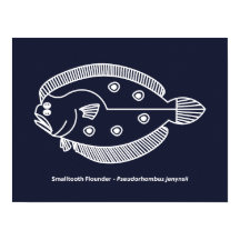 Roligt Flounder Fish in White on Deepest Blue