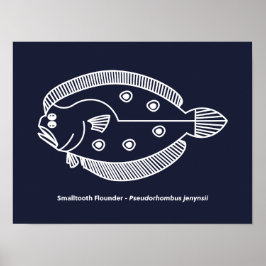 Roligt Flounder Fish in White on Deepest Blue Poster