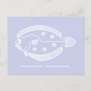 Roligt Flounder Fish in White on Light Lila Vykort