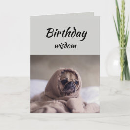 Roligt Födelsedag Visdom med Cute Pug Hund Kort