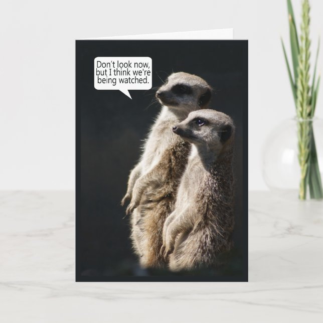 Roligt födelsedagkort med Meerkats - humor Kort (Framsida)