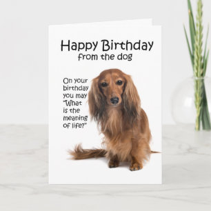 Roligt födelsedagskort för Dachshund Kort