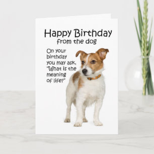 Roligt födelsedagskort för Jack Russell Terrier Kort