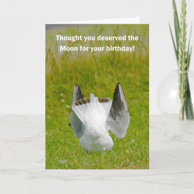 Roligt födelsedagskort - Mooning Fiskmås Kort (Framsida)