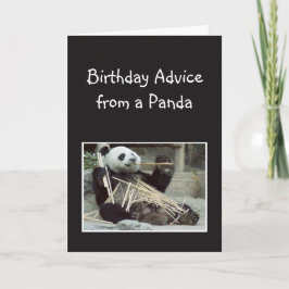 Roligt Födelsedagsråd från Panda Bear Animal Humor Kort