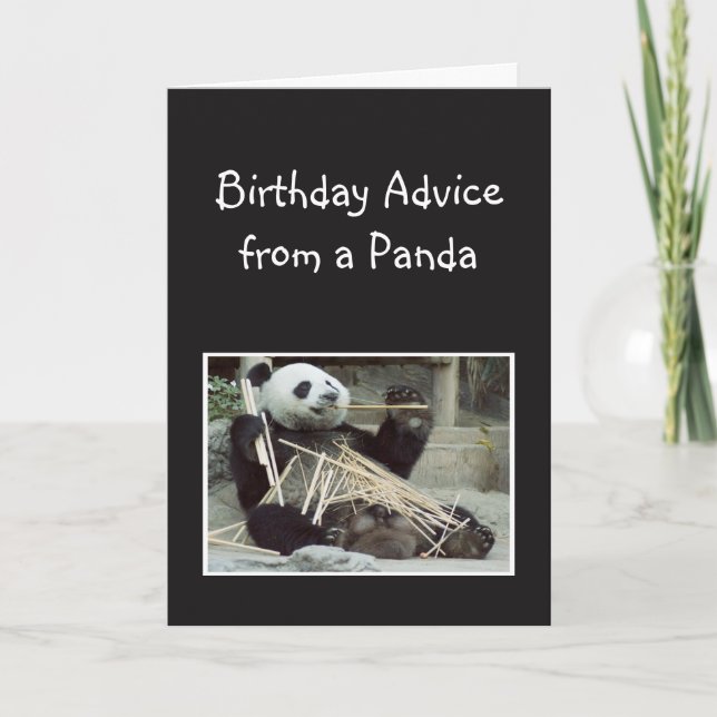 Roligt födelsedagsråd från Panda Björn Djur Humor Kort (Framsida)