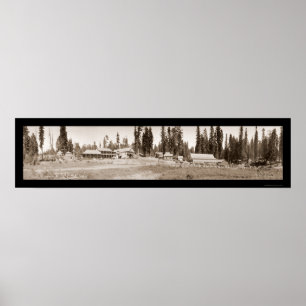 Roligt foto 1911 för gästranchhäst poster