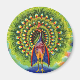 roligt fredsock print magnet
