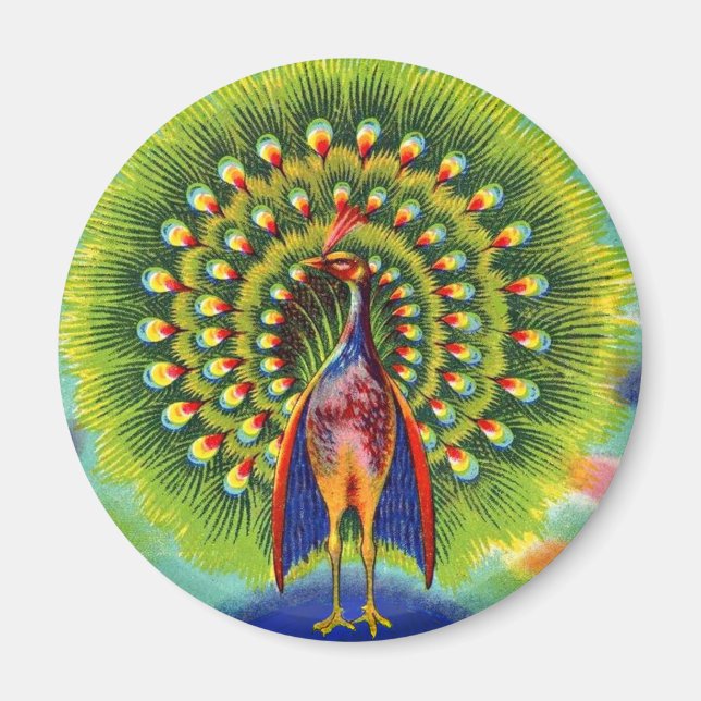 roligt fredsock print magnet (Framsidan)