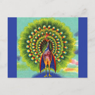 roligt fredsock print vykort