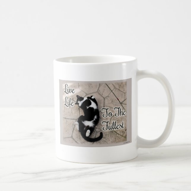 Roligt Fullt Life Motivational Cat Photo Quote Kaffemugg (Höger)