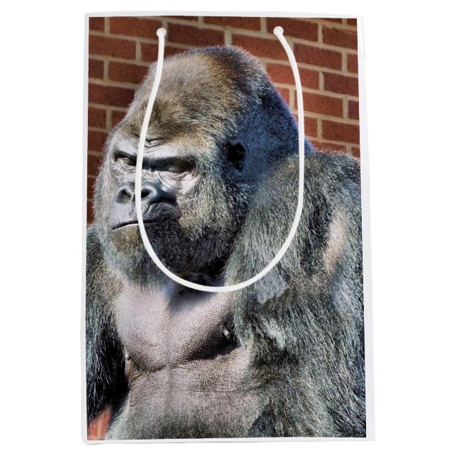ROLIGT GORILLA (Framsidan)