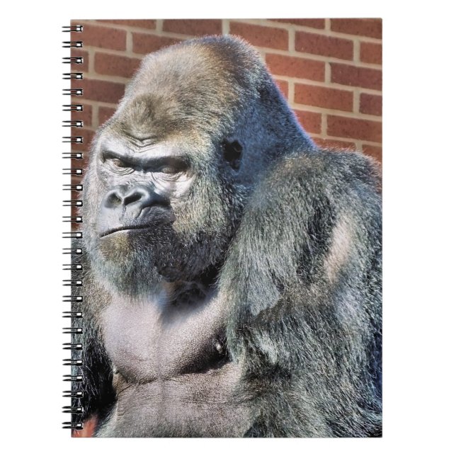 ROLIGT GORILLA ANTECKNINGSBOK (Framsidan)