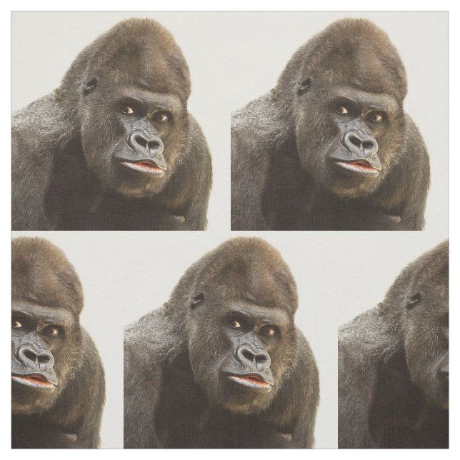 Roligt gorillatyg tyg (Provkarta)