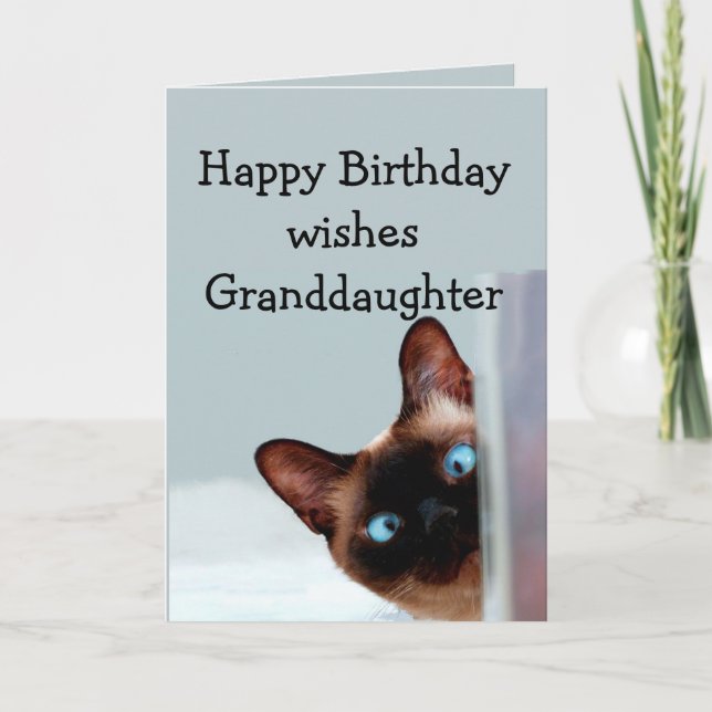 Roligt Granddotter Birthday Önskemål Siamese Cat Kort (Framsida)