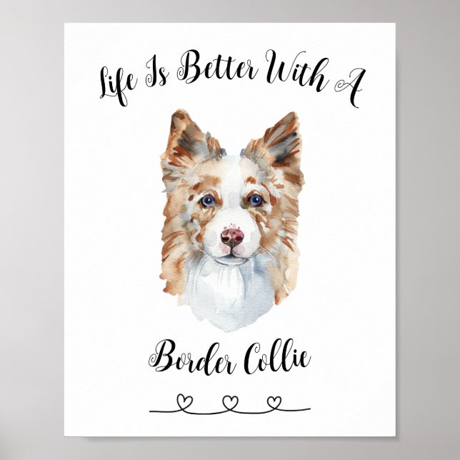 Roligt Gräns Collie Watercolor Wall Art Poster (Framsidan)