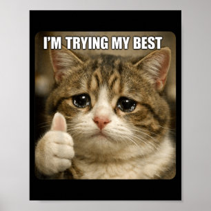 Roligt Gråtande Katt Meme för Män Kvinnor Barn Tes Poster