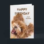 Roligt Grattis på födelsedagen Grandson Cute Hund  Helgkort<br><div class="desc">Celtic Blessings-jul för att vem som helst ska skicka till dina favoritvänner,  din familj eller andra Roligt Grattis på födelsedagen Grandson Cute Hund Puppy</div>