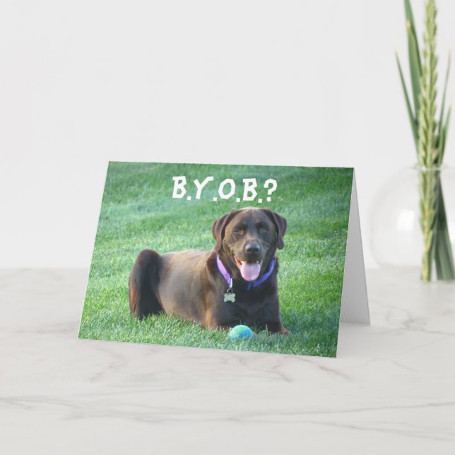 Roligt grattis på födelsedagenhälsningkort! 4 hund kort (Framsida)
