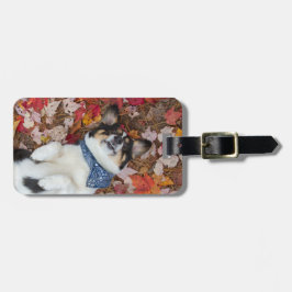 Roligt gulligt, CorgiLook Bagagebricka