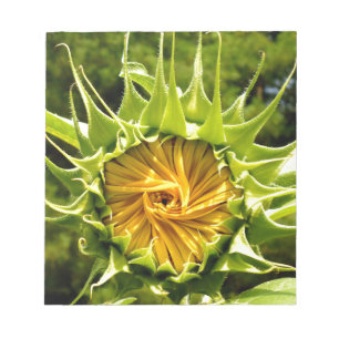 Roligt gult blommigt Solros Anteckningsblock