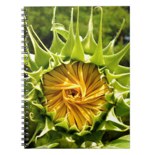 Roligt gult blommigt Solros Anteckningsbok