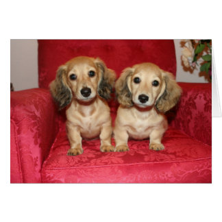 roligt hälsningskort