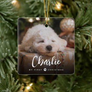 Roligt Handskriven typ Pets första julfoto Julgransprydnad Keramik