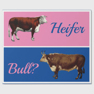 Roligt Heifer eller Bull Gender Reveal med nötkre Presentpapper