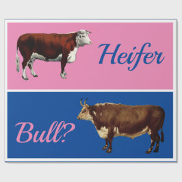 Roligt Heifer eller Bull Gender Reveal med nötkrea Presentpapper