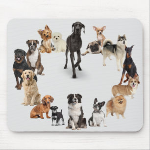 Roligt Hund aveln Pet Animals Hund Anpassat namn Musmatta