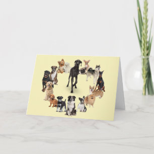 Roligt Hund aveln Pet Animals Hund Blank Kort