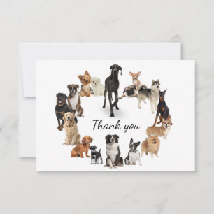 Roligt Hund aveln Pet Animals Hund Tack Kort