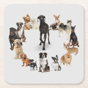 Roligt Hund aveln Pet Animals Hund Underlägg Papper Kvadrat