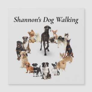 Roligt Hund aveln Pet Animals Hund Walking Postcar