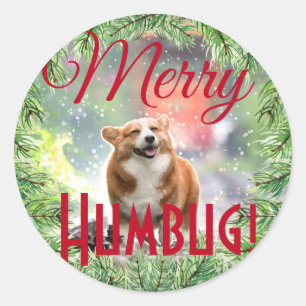 Roligt Hund Fotojul God andedräkt Humbug Runt Klistermärke