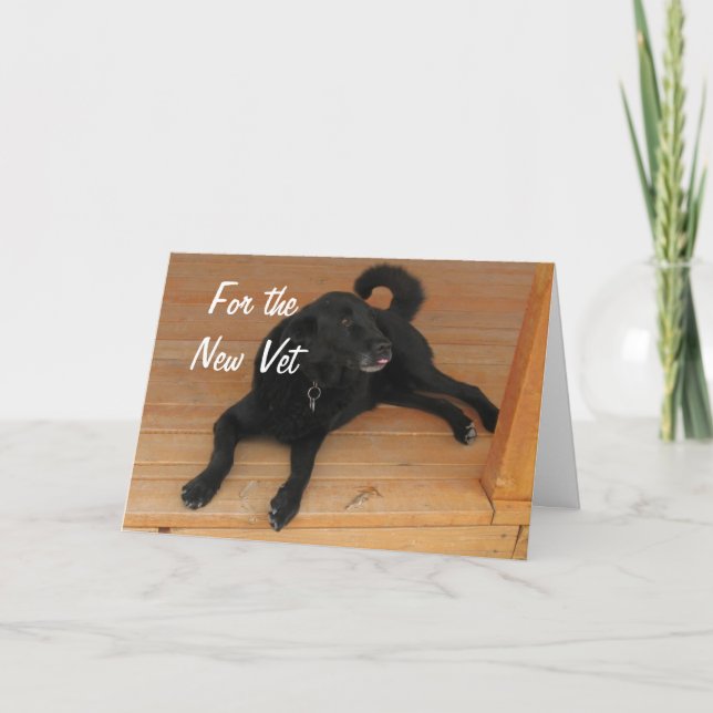 Roligt Hund Vet Student Grattisarna Studenten Kort (Framsida)