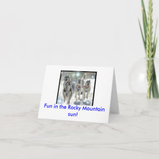 Roligt i den steniga bergsolen! kort