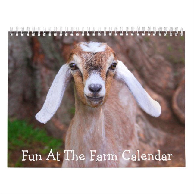 Roligt i servergruppskalendern kalender (Omslag)