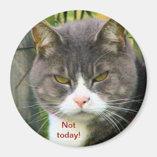 Roligt ILSKET KATTordstäv, "INTE I DAG! ", Magnet