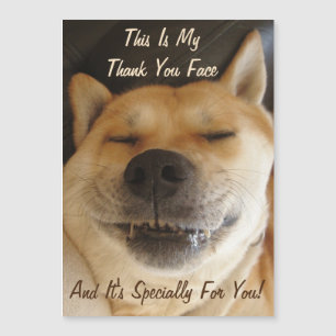 roligt japansk akita med söt leende tack