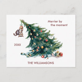 Roligt Julgran Dangling Cat Photo Helg Vykort