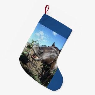 Roligt julhästansikte liten julstrumpa